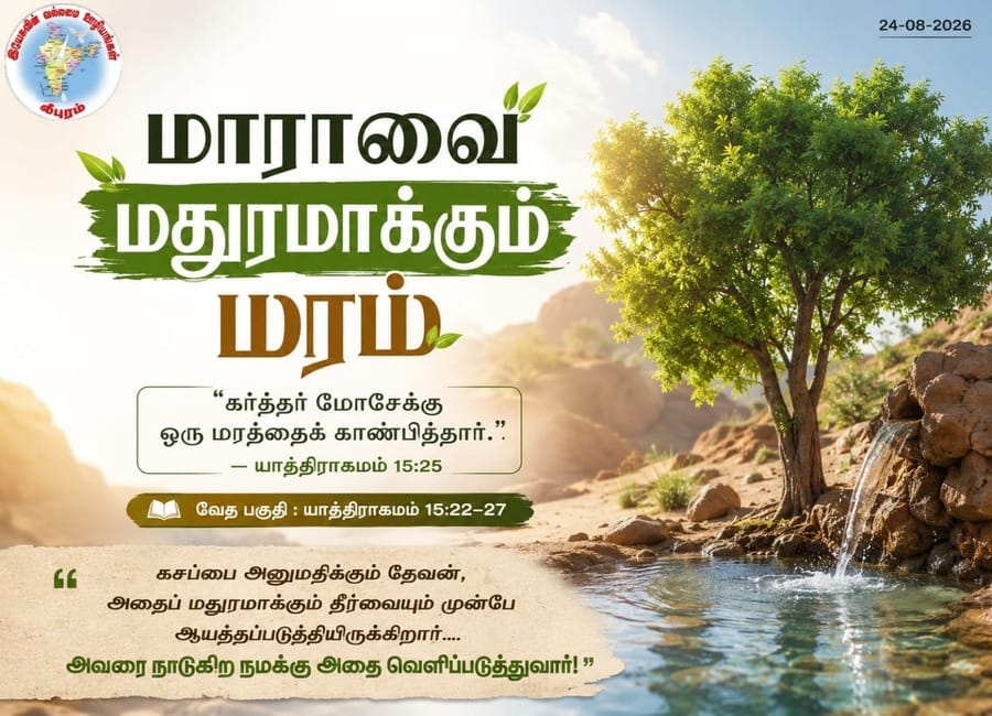 மாராவை மதுரமாக்கும் மரம்